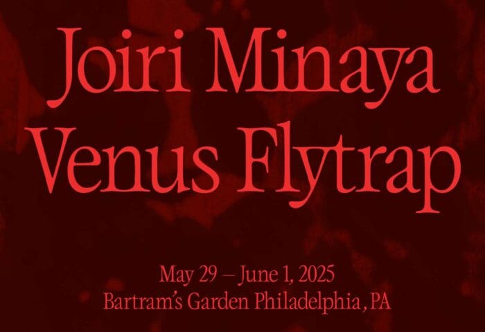 Edible and Medicinal: A Nature Walk and Workshop – Venus Fly Trap