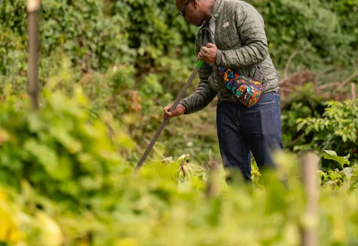 SWWAG Workshop – Orchard Pests and Disease Management