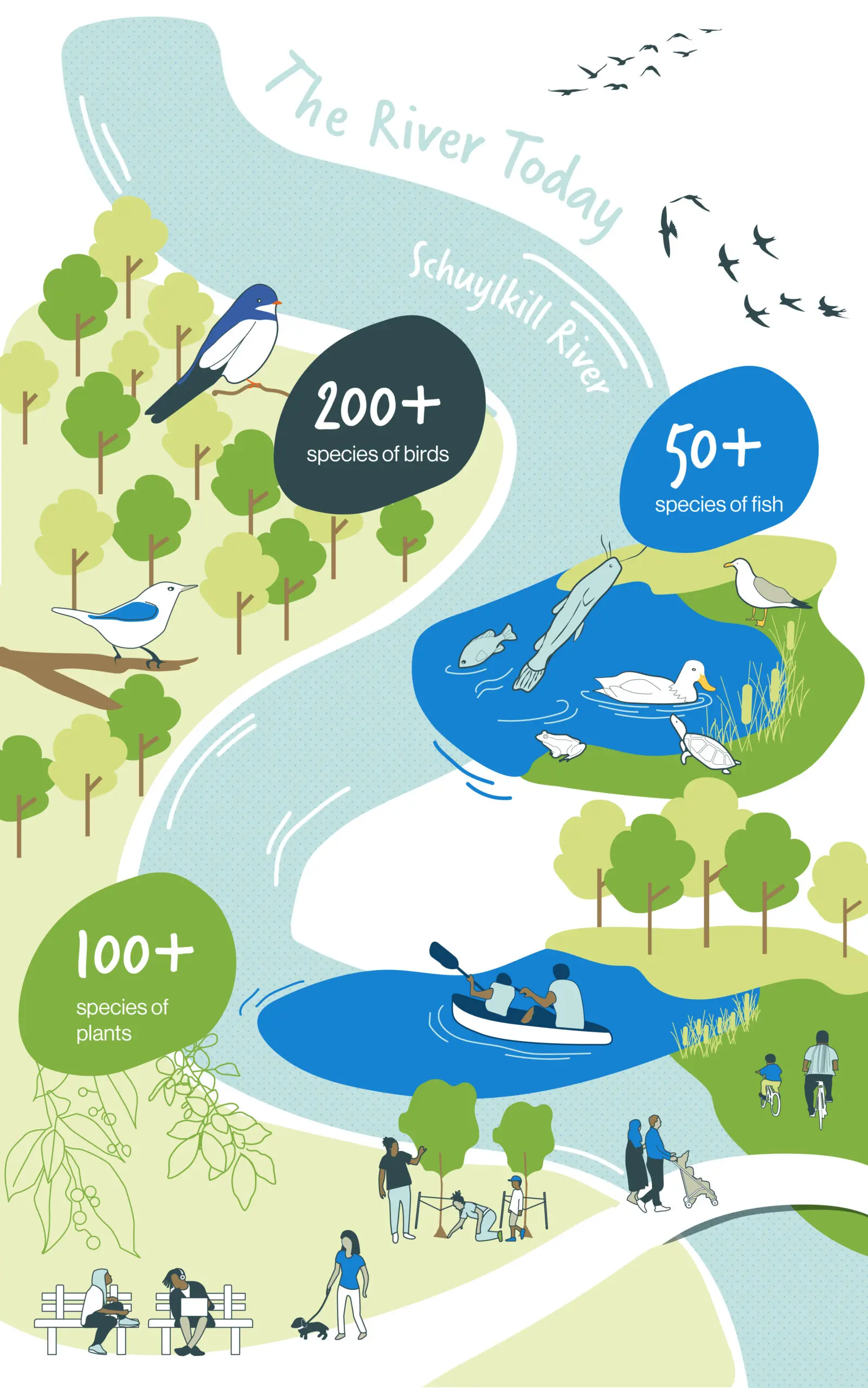 GRAPHIC_River Today_v2
