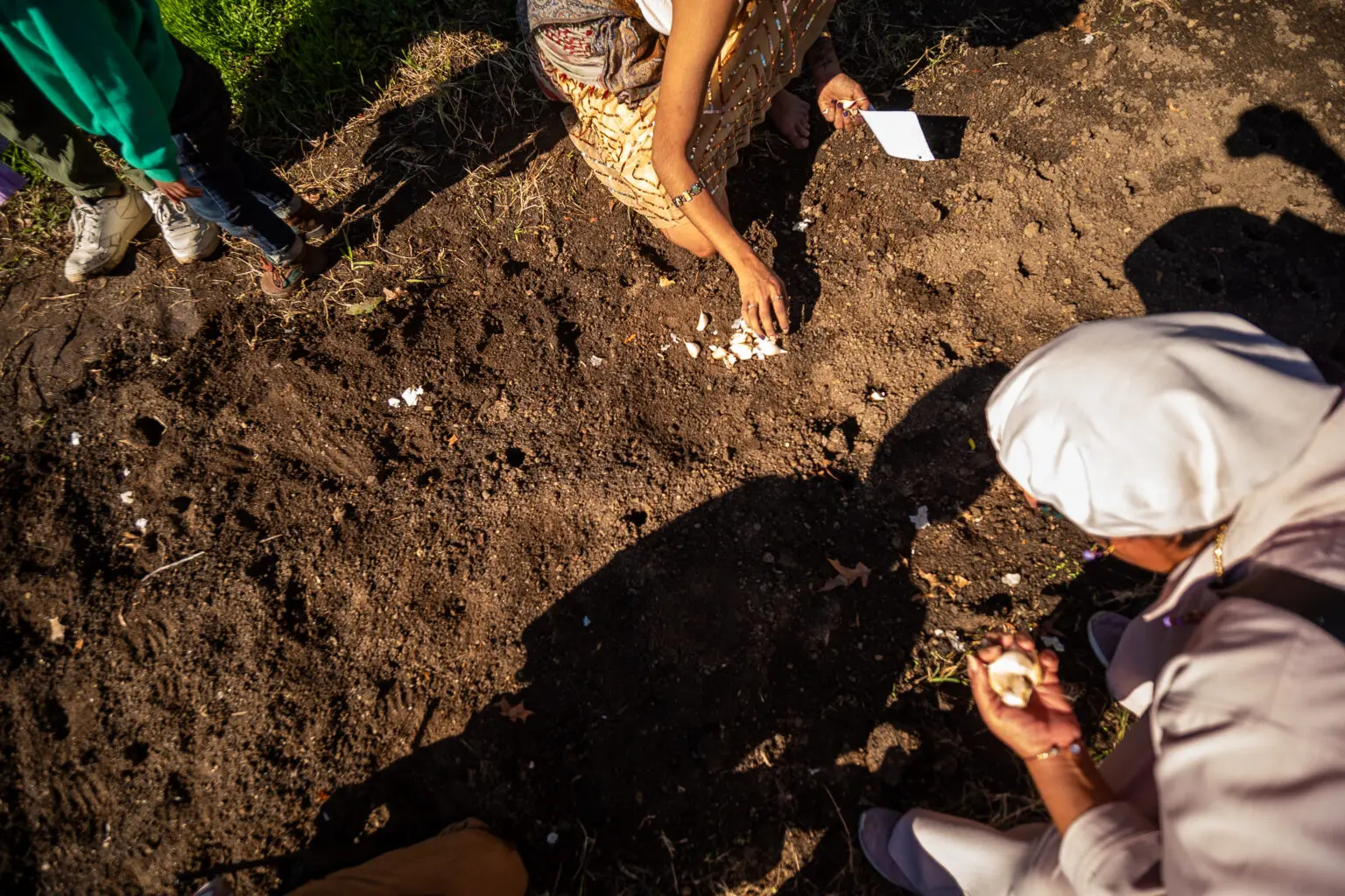SWWAG Workshop: Intro to Fall Planting