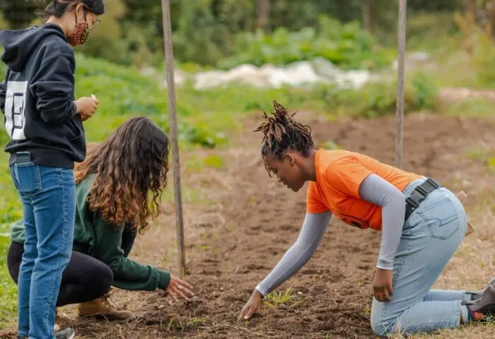 Sankofa Community Farm Volunteer Day